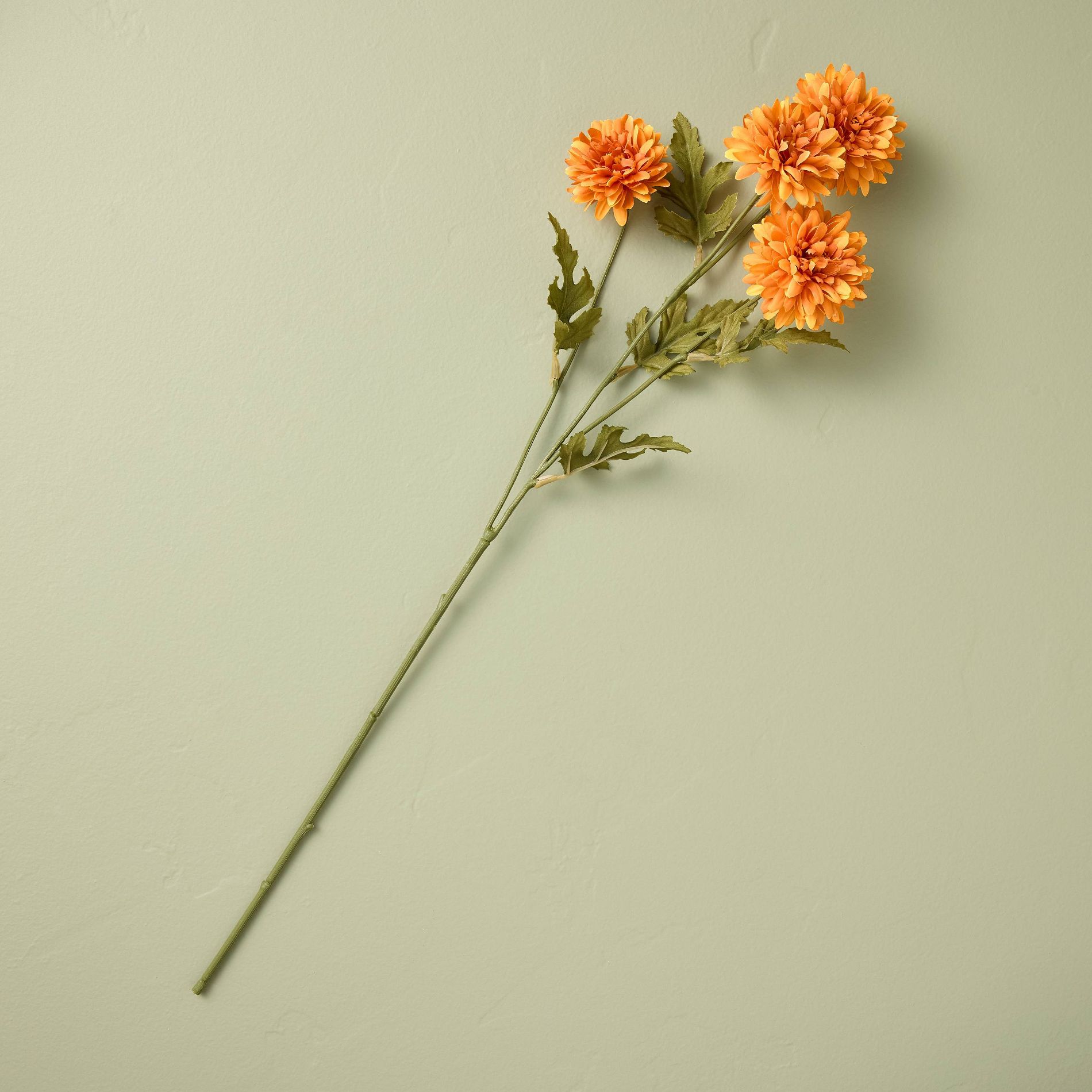 25" Orange Daisy Artificial Stem - Hearth & Hand™ with Magnolia