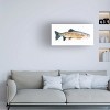 Trademark Fine Art -Emma Caroline  'Watercolor Rainbow Trout I' Canvas Art - 3 of 4