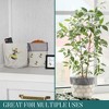 Decorae Bee Planter Storage Bags 3pk; Mini Planter Covers / Small Decorative Storage Bins - 2 of 4