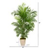 Nearly Natural 63-in Areca Artificial Palm Tree in Country White Planter UV Resistant (Indoor/Outdoor) - 2 of 2