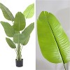5FT Artificial Bird of Paradise Tree with PEVA Leaves and Sturdy Cement-Filled Pot, Large Faux Tropical Plant for Home, Office, Porch & Garden Decor - 3 of 4