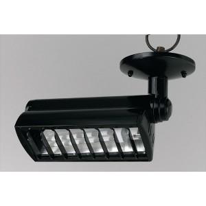 Cal Lighting Ceiling mount CFL light,120V,26W,G24-q2 socket, fixture face dimension is 7in x 3in  height is 5in - 1 of 1