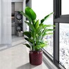 Chic Crate Modern Ceramic Planter Pots Set of 3 – Versatile Indoor/Outdoor Flowerpots with Drainage Holes - 2 of 4