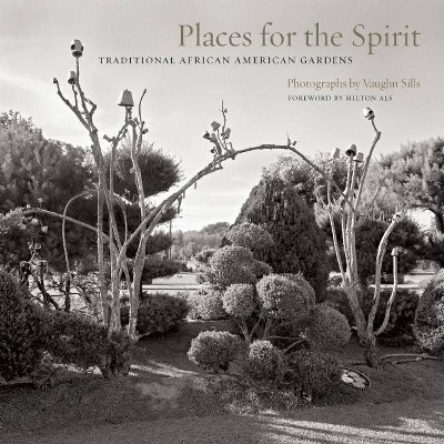 Places for the Spirit - (Hardcover)