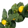 Northlight Lemon and Foliage Artificial Wreath, Yellow 22-Inch - 4 of 4
