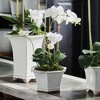 Plum & Post Barclay Butera Phalaenopsis In Ceramic Pot 18.5" - 2 of 3