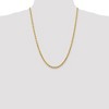 Black Bow Jewelry 4mm 10k Yellow Gold Diamond-Cut Solid Rope Chain Necklace - 2 of 4