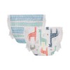 The Honest Company Clean Conscious Disposable Diapers - (Select Size and Pattern) - 4 of 4