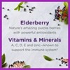 Zarbee's Kid's Daily Immune Support Gummies with Real Elderberry - Natural Berry Flavor - 42ct - image 3 of 4