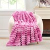 Cozy Bliss Faux Fur Plush Decorative Blanket,Cozy Warm Striped Throw - 2 of 4