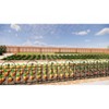Dolonm 24" Metal Garden Fence - 20.4ft No Dig Dog Barrier, Galvanized Rustproof, Moveable Flower Bed Edging - 4 of 4