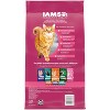 IAMS Proactive Health Urinary Tract Chicken Flavor Dry Cat Food - 2 of 4
