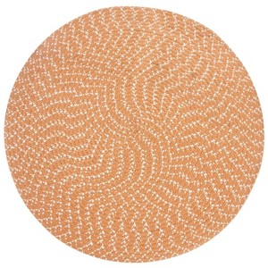 Sunsplash Braid Collection 100% Polypropylene Reversible Indoor/Outdoor Area Utility Rug - Better Trends - 1 of 3
