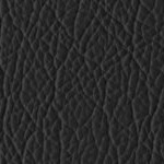 seth freakin rollins