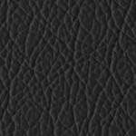 seth freakin rollins