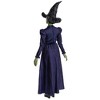 NBCUniversal Adult Wicked Elphaba Halloween Costume - 3 of 4