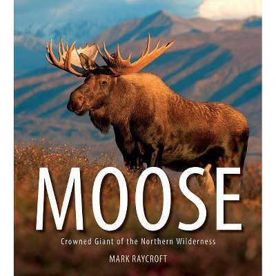  Moose - by  Mark Raycroft (Paperback) 