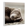Stupell Industries Cozy Sleeping Bear Wall Plaque Art - 3 of 4