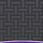 orlando city soccer club