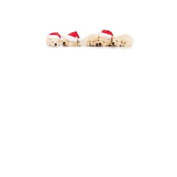 Great Papers! Holiday Stationery Santa Puppies 8.5" x 11" 80 Sheets (2017018)