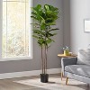 Sapphtopaz Artificial Fiddle Leaf Fig Tree, Artificial Tree Faux Plants Indoor with Natural Wood Trunk, Room Decor for Home, Porch - 3 of 4