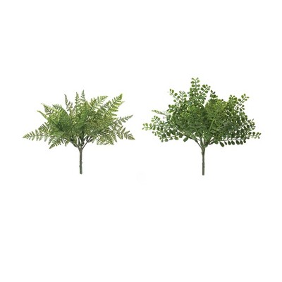 Melrose Fern Bush (Set of 12)