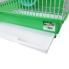 A&E Cage Company Gerbil, Mouse, Hamster and Rat Small Cage with Wheel - Green - 4 of 4