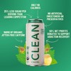 CLEAN Cause - Mint & Honey Non-Carbonated Organic Yerba Mate Tea - 2 of 4