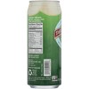 Taste Nirvana Coconut Water with Pulp - Case of 12/16.2 fz - 4 of 4