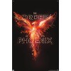 Trends International Harry Potter - Order of the Phoenix Magic Unframed Wall Poster Prints - 4 of 4
