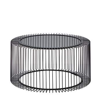 Contemporary Metal Coffee Table Black - Olivia & May