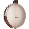 Gold Tone IT-19 Irish Tenor Banjo Natural - 3 of 4