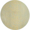 Jill Zarin Outdoor Cape Town Animal Print Woven Area Rug - 2 of 4