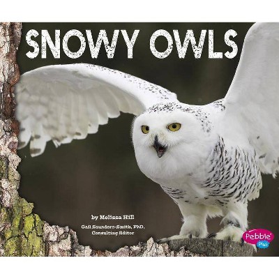 Snowy Owls - by  Melissa Hill (Paperback)