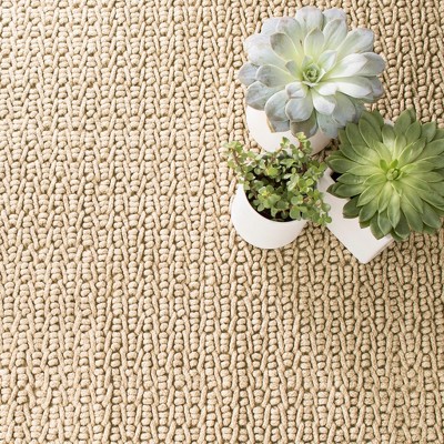 Veranda Natural 8' x 10' Handmade Indoor/Outdoor Easy-Care Rug