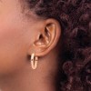 Black Bow Jewelry 3.75mm x 26mm Polished 14k Rose Gold Domed Oval Tube Hoop Earrings - 3 of 4
