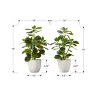 SEVOBAL Planters Set of 2 Artificial Ficus Plants 14" Tall in White Pots with Green Leaves for Indoor Decor, Green, 10"*9"*14" - 2 of 4
