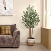 DR.Planzen 5-7FT Artificial Olive Tree with Real Wood Trunks & Triple-Stem Design in White Planter, Lifelike Faux Tree Plant for Indoor Outdoor Decor - 3 of 4