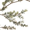 Northlight Real Touch™️ Berry and Eucalyptus Christmas Garland - 5' x 8" - Unlit - 3 of 4