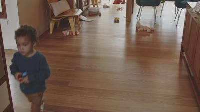 Bissell Green Cordless Handheld Upholstery Shampooer