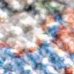 denim, sage, dark red, navy, olive