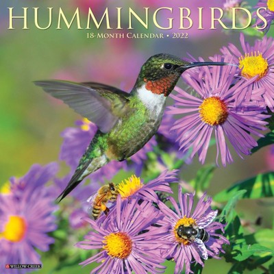 2022 Wall Calendar Hummingbirds - Willow Creek Press
