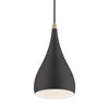 Livex Lighting Amador 1 - Light Pendant in  Textured Black/Antique Brass - 4 of 4