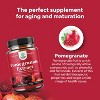 Pomegranate Extract Capsules, Supplement for Heart Health and Joint Support, Nature's Craft, 180 ct - 4 of 4