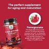 Pomegranate Extract Capsules, Supplement for Heart Health and Joint Support, Nature's Craft, 180 ct - image 4 of 4