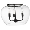 Z-Lite Joliet 3 - Light Semi-Flush Mount in  Matte Black - 3 of 4