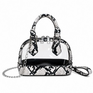 Alilang Clear PVC Mini Crossbody Satchel Bag with Print Trim and