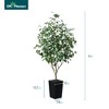 DR.Planzen 72" Artificial Ficus Tree - 6FT UV Resistant Fake Plant with Silk Leaves & 15.7" Planter for Indoor House Plants, Floor & Tall Faux Trees - 3 of 4