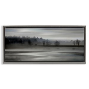 Stupell Industries Grey Nature Landscape Black Framed Floater Canvas Wall Art - 1 of 4