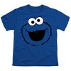Boys' Short Sleeve Sesame Street Cookie Monster Full Face T-Shirt - 2 of 4